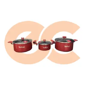 Tefal Expert Stewpot Set Size 18,24,26 6221064017719