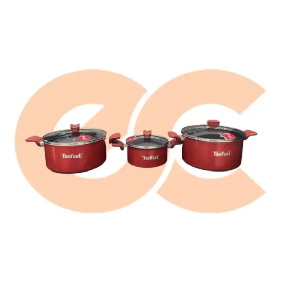 Tefal Expert Stewpot Set Size 18,24,26 6221064017719